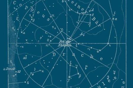 紫薇斗数野性美