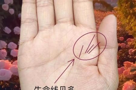 风水手相怎么看生命线断开是什么意思