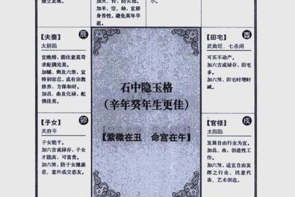 【紫微斗数】排盘技巧016：特殊格局的分析