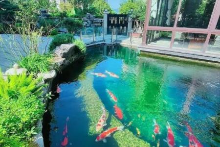 商业风水：公司水池的设计风水