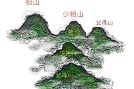 先人的影响，可当官的祖坟风水