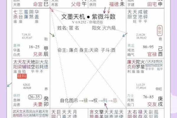 紫微斗数命盘大运流年解析0623 紫微斗数命盘大运流年解析0623