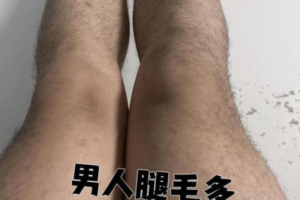 腿上有毛算命 腿上有毛算命