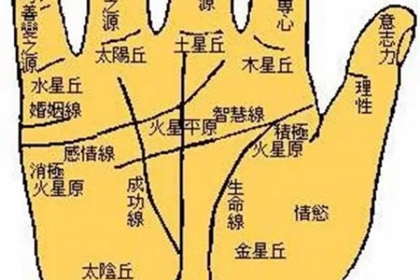 看手相算命图解：掌线
