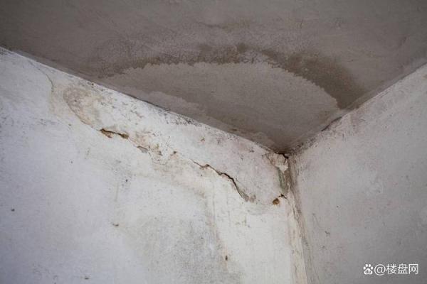 新装的房子屋顶漏水了风水 新装的房子屋顶漏水了风水