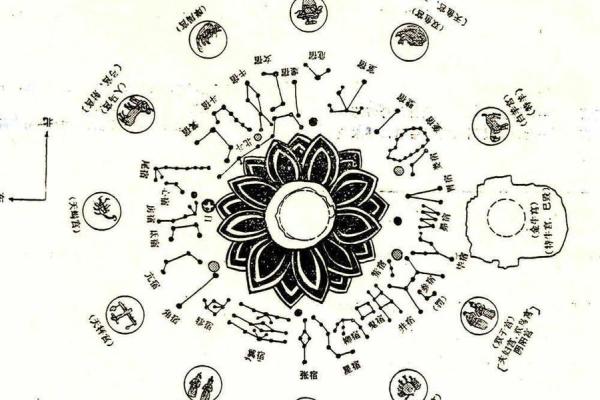 双胞胎紫薇斗数 双胞胎紫薇斗数
