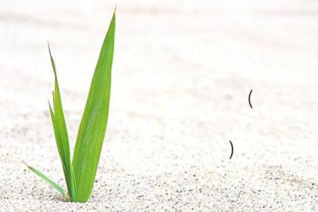 吕祖灵签抽签灵末