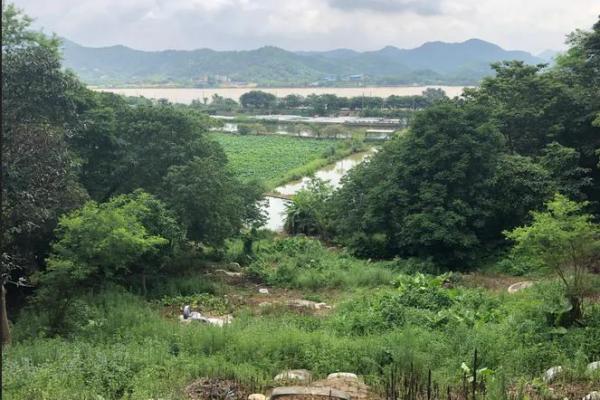 做风水师会不会折寿 做风水师会不会折寿