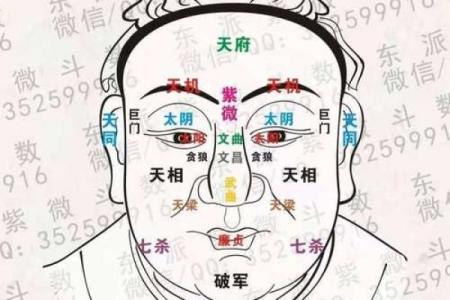 紫薇斗数怎么看主星