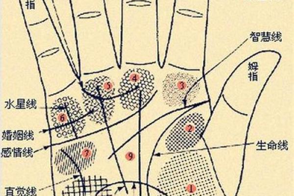 免费拍照看手相算命在线 免费拍照看手相算命在线