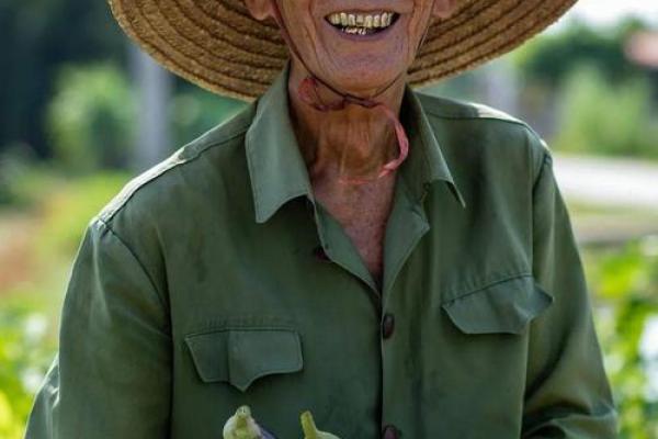 老农民算命大全 老农民算命大全