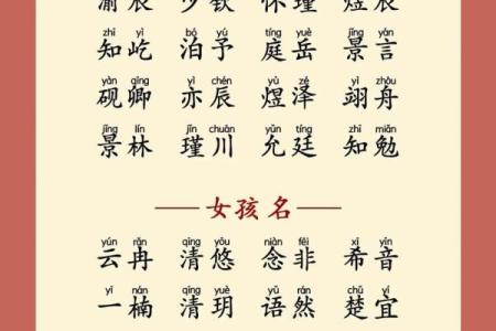 属龙卯时出生的男孩怎么取名，用什么字好姓名