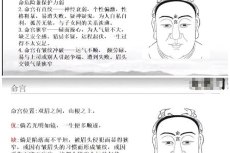 女命八字夫宫在哪