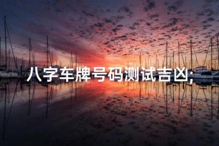 免费算八字选车牌，帮你挑选适合的车牌号