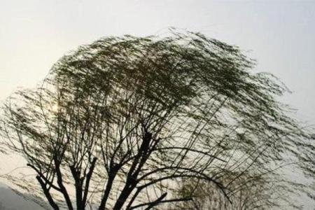 风水角度男人四十不惑是什么意思