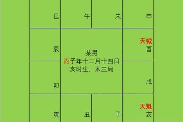 紫薇斗球数排盘