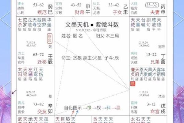 紫薇斗数辰戌宫 紫薇斗数辰戌宫