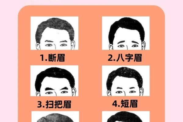 男人眉毛看相算命 男人眉毛看相算命