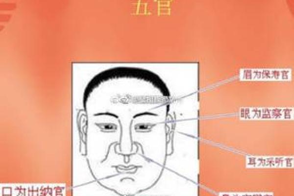 男人眉毛看相算命 男人眉毛看相算命