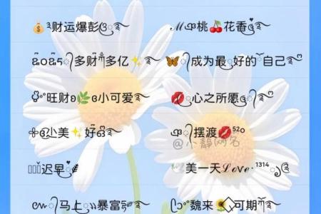 幸运姓名链,幸运吧姓名测试免费