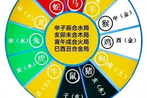 八字新手入门：三会局是什么？