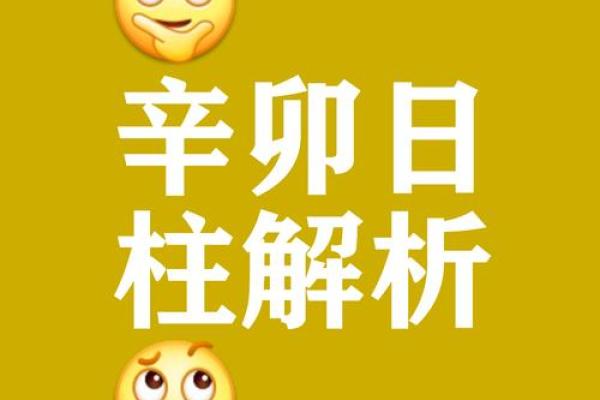 已卯八字