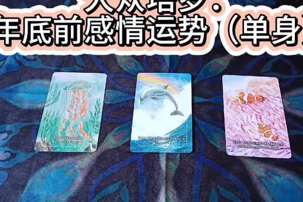 塔罗测试：光棍节前单身族要如何提升桃花运？