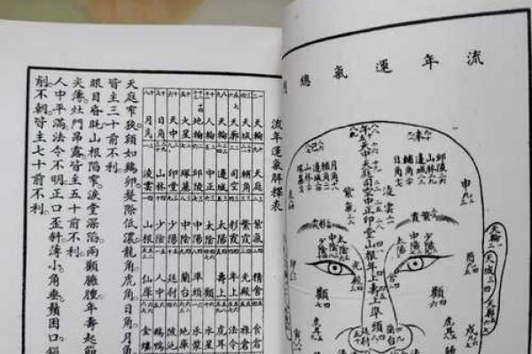 面相风水_更好看的风水小说