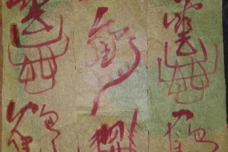 退圈后我改行算命去了  豪门弃子靠算卦爆红阴阳两界