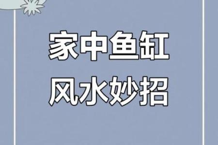 鱼缸的摆放位置与风水的关系
