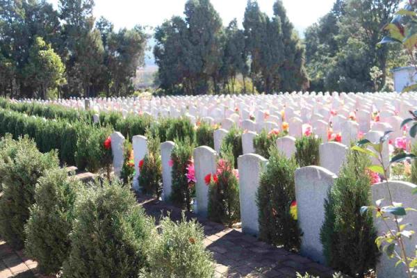 墓地的特征什么样的墓地风水好 墓地的特征什么样的墓地风水好