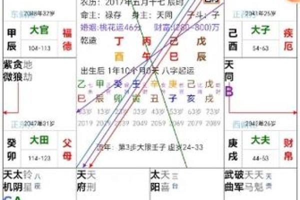 紫薇星七杀星入官禄宫
