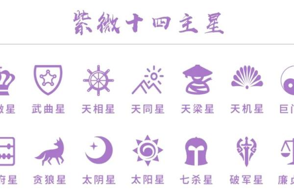 紫薇斗数14颗主