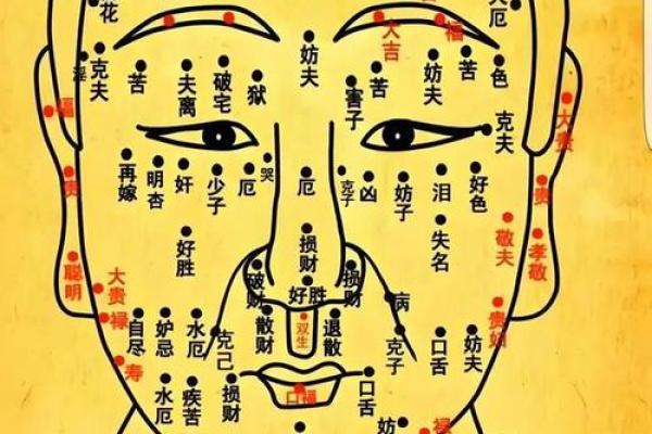 八字五官 八字五官