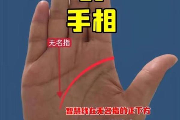 手相算命,从手相看你聪明度有多高? 手相算命,从手相看你聪明度有多高?