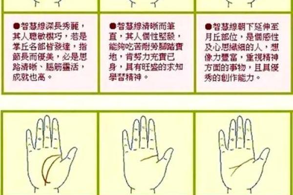 手相算命,从手相看你聪明度有多高? 手相算命,从手相看你聪明度有多高?
