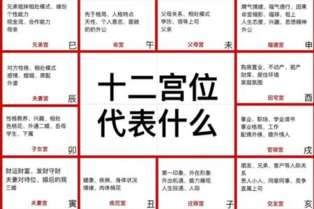 紫薇斗数夫妻宫乙未什么意思