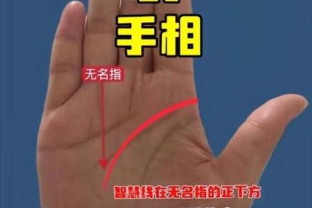 手相算命，从手相看你聪明度有多高？
