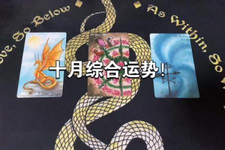 塔罗测试：十月财运如何？