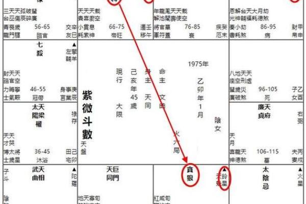 紫薇斗数贪狼火星