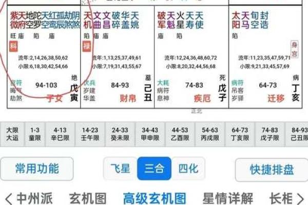 紫微斗数命宫身宫得分 紫微斗数命宫身宫查询表？