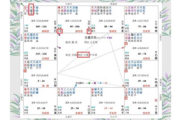 紫微斗数命宫身宫得分 紫微斗数命宫身宫查询表？