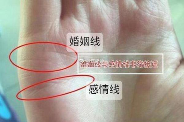 八字看婚姻线和命运线图解