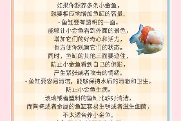 金鱼怎么养？养金鱼需要注意的风水