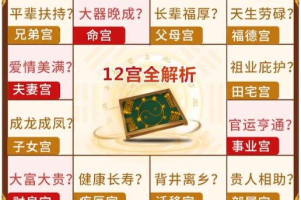 紫薇斗数视频奖励