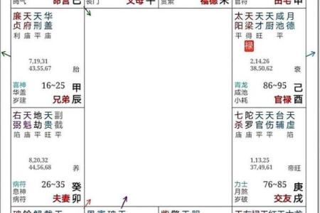 神巴巴紫薇斗数排盘