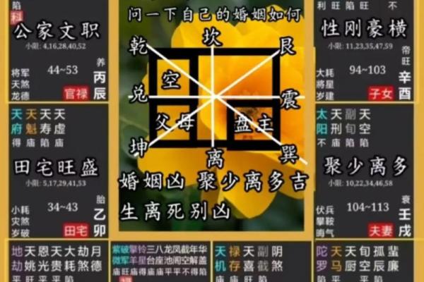 人的命运是先天定好的吗？紫薇命盘又意味着什么？