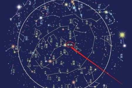 紫薇星几月出生的