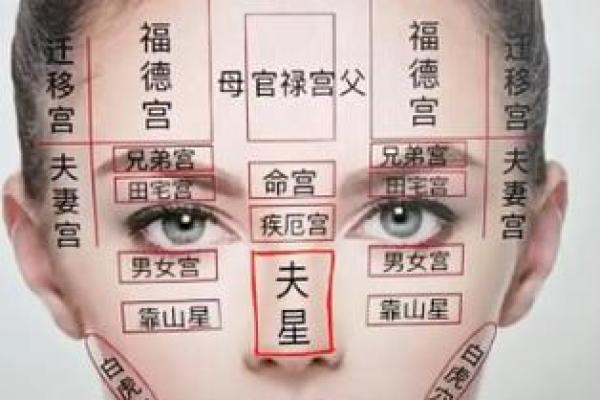 面相算命图解十二宫之:命宫 面相算命图解十二宫之:命宫