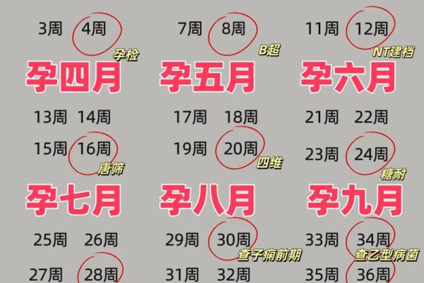 算命的说会怀孕 算命的说会怀孕